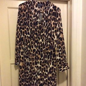 Leopard Dress from The Limited!